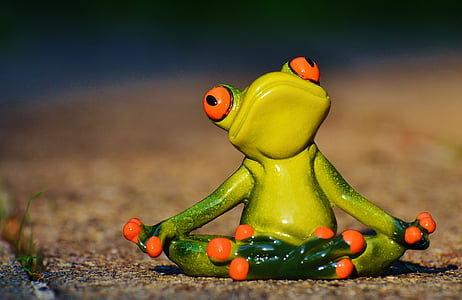 close-up photography of meditating frog ceramic figurine thumbnail