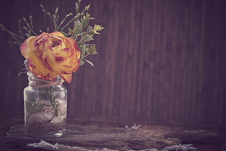 pink and purple flower in clear glass vase thumbnail