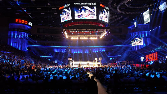 boxing ring thumbnail