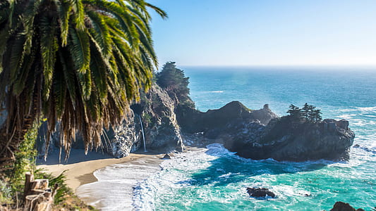 green palm tree beside seashore under blue sky thumbnail