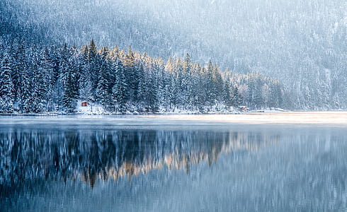 landscape photography of green trees near body of water thumbnail