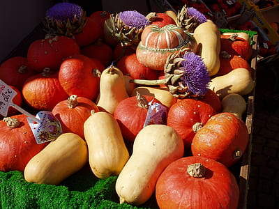 pumpkins on cart thumbnail