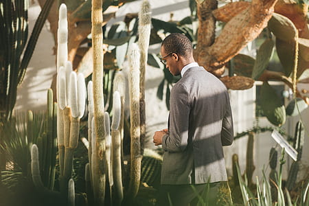 man standing front of cactus thumbnail