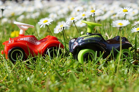 two red and blue ride-on vehicle toys on white daisy flower covered field during day thumbnail