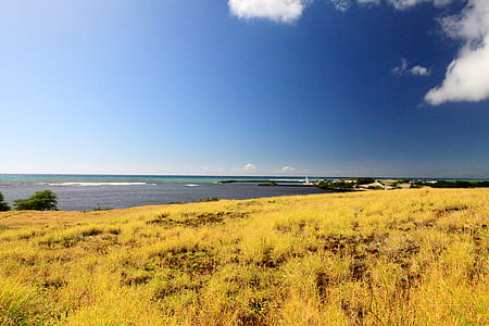 sea, nature, water, field thumbnail
