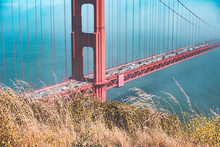 Grass with Golden Gate Bridge in Background thumbnail