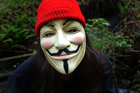person wearing Guys Fawkes during daytime thumbnail