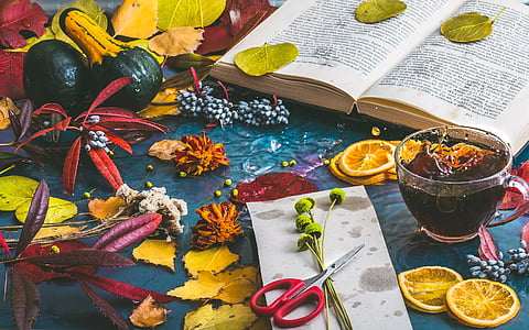 red handled scissors beside the teacup thumbnail
