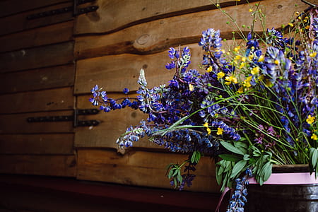 purple and yellow flowers thumbnail