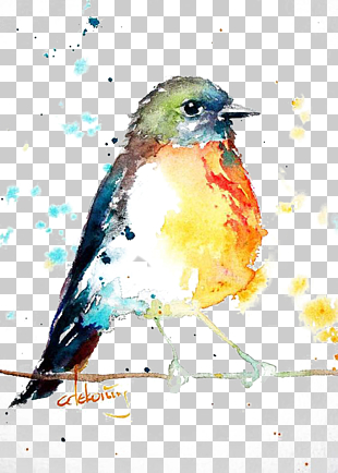 Bird European robin Watercolor painting Drawing, Birds, inverse color painting of bird on twig PNG clipart