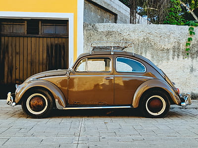 brown Volkswagen Beetle parked in front of gate thumbnail