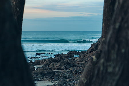 gray seashore thumbnail