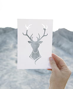 person holding deer-themed card thumbnail