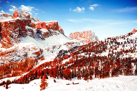 shallow focus of mountain during daytime thumbnail