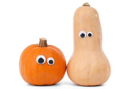 two squash and gourd toys thumbnail