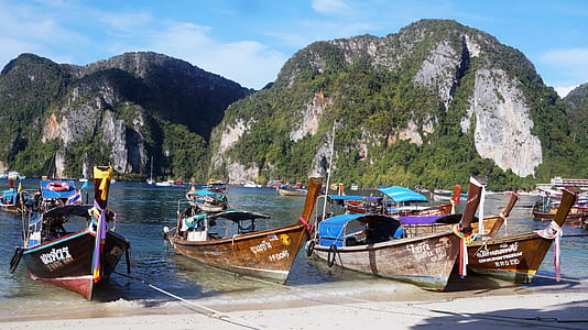 boats dock on seashore thumbnail