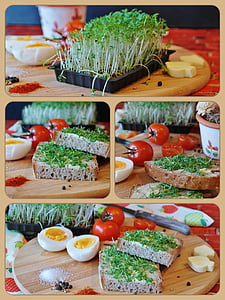 egg and bread sandwich collage thumbnail