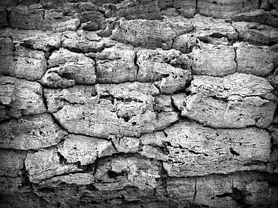 dry, wall, environment, cement thumbnail