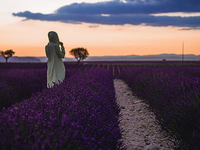 woman surrounded purple petaled flower thumbnail