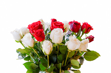 white and red Rose flower bouquet thumbnail