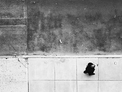 grayscale photo of person walking on pathway beside roadway thumbnail