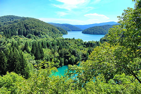 aerial photography of lake with trees thumbnail