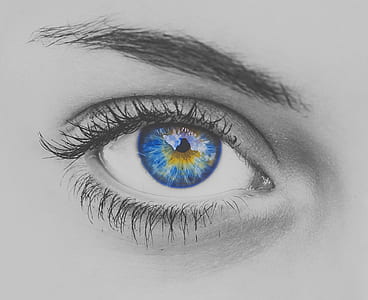 woman's eye sketch thumbnail