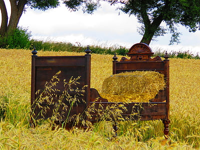 brown bed frame thumbnail
