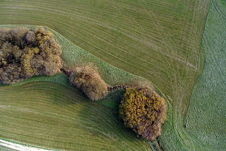 bird's eye view of green field thumbnail