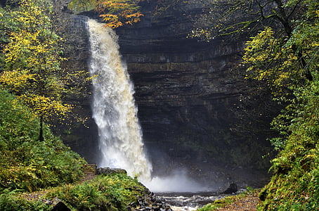 waterfall surrounded by trees thumbnail