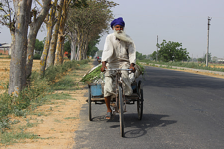 man riding bicycle on road beside tree thumbnail