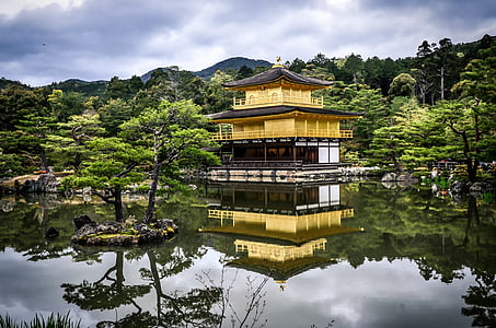 yellow and white high-rise house surrounded by water and trees thumbnail