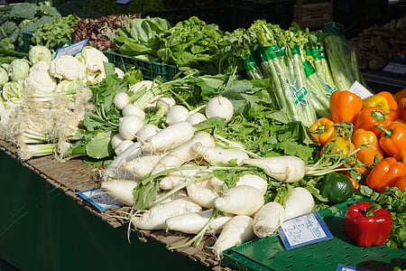 assorted vegetables thumbnail
