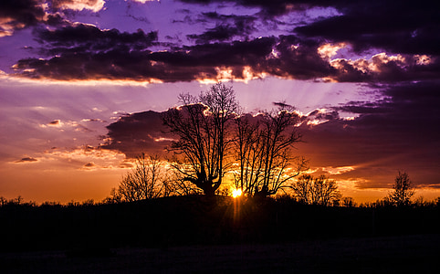 silhouette of trees and mountain thumbnail
