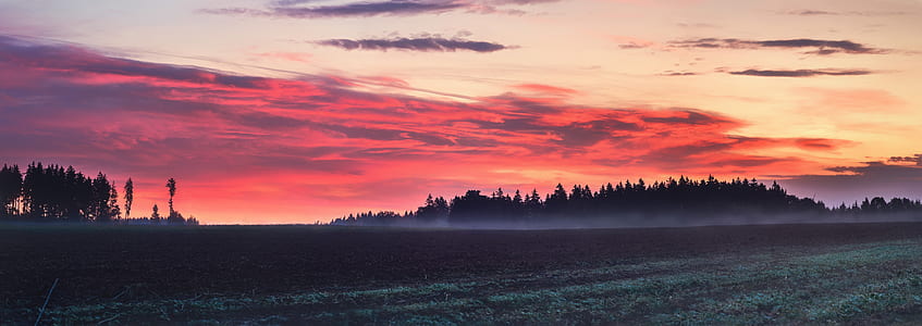green grass field at golden hour thumbnail