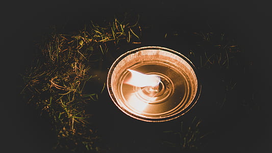 light, night, dark, grass thumbnail
