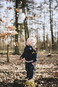dried leaves falling on a boy standing on rock surrounded with bare trees thumbnail