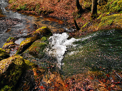 Stream, Valley Będkowska thumbnail