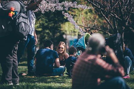 selective focus photography of man facing woman while sitting under pink cherry blossom tree thumbnail