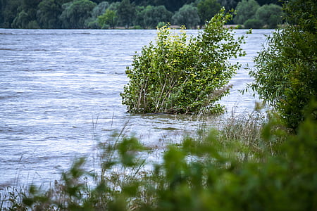 bust in the middle of body of water thumbnail