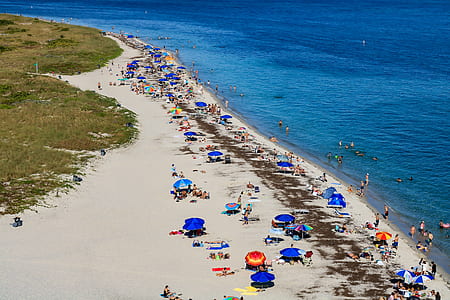 aerial photo of beach thumbnail