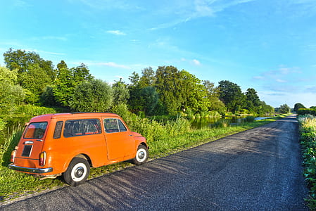 brown vehicle on bushes near road during daytime thumbnail