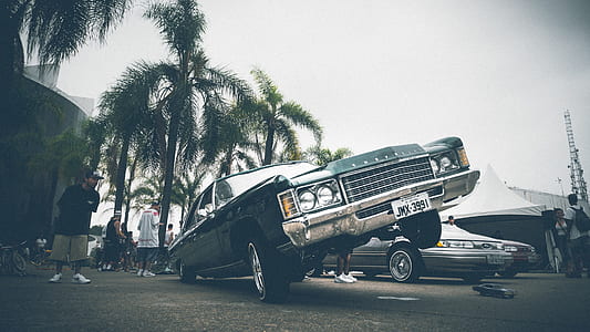 cars, road, vehicles, landscape thumbnail