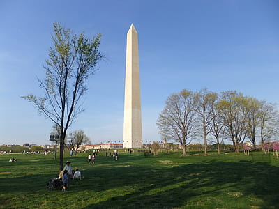photography of people walking toward white concrete building under blue sky at daytime thumbnail