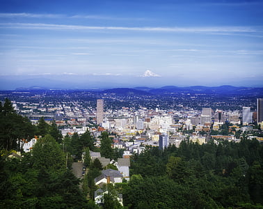 aerial photography of city during daytime thumbnail