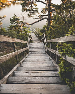 gray wooden bridge down body of water thumbnail
