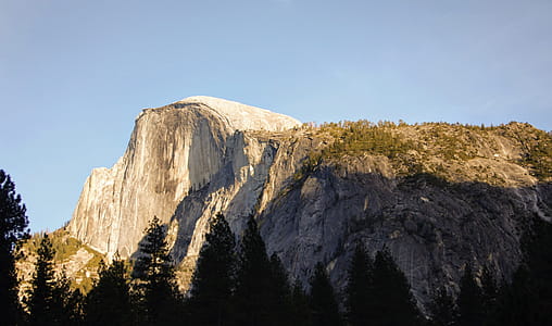 Trees Under White Cliff thumbnail
