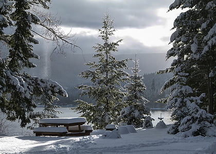 black wooden picnic table near green leaf trees covered in snow at daytim e thumbnail