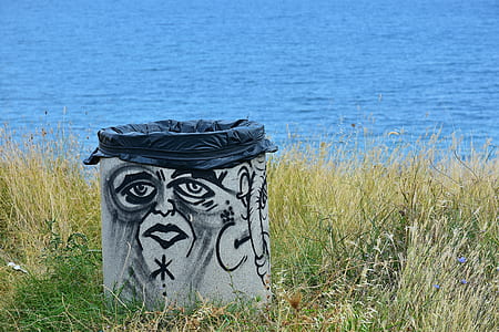 gray and black garbage bin near body of water thumbnail