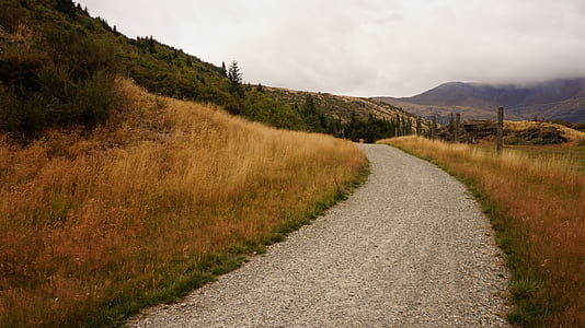 landscape photography of road thumbnail